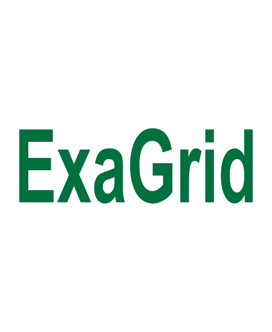 ExaGrid logo